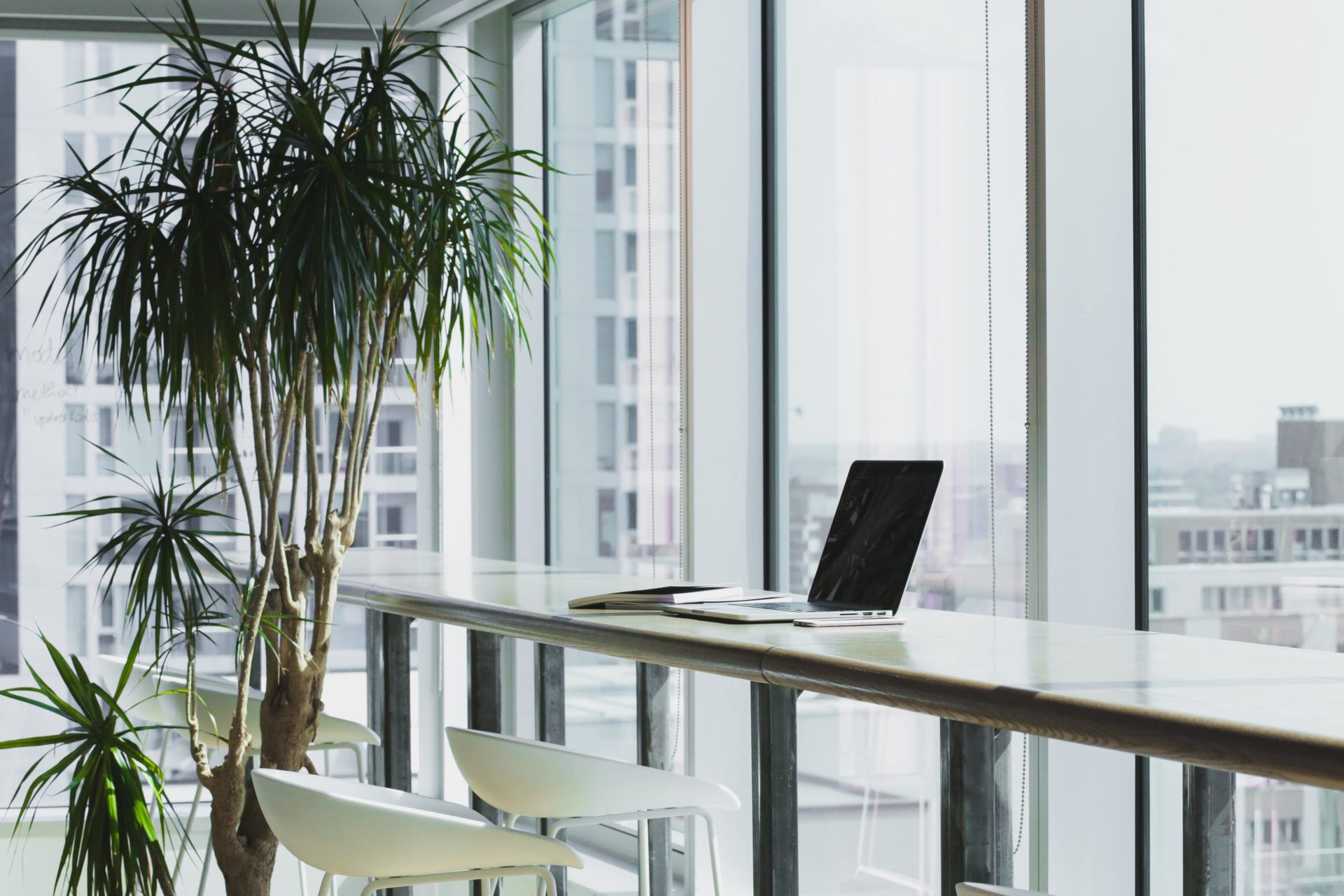 Laptop on a window seat desk with a large plant